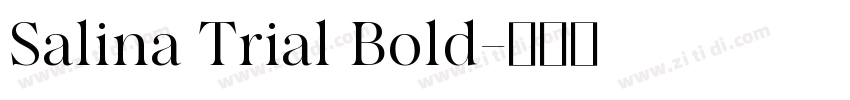 Salina Trial Bold字体转换